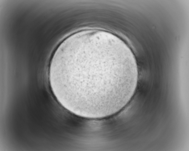 X0000089761514200707201932