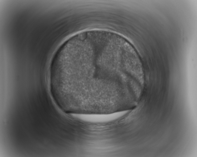 X0000089761515200707201932