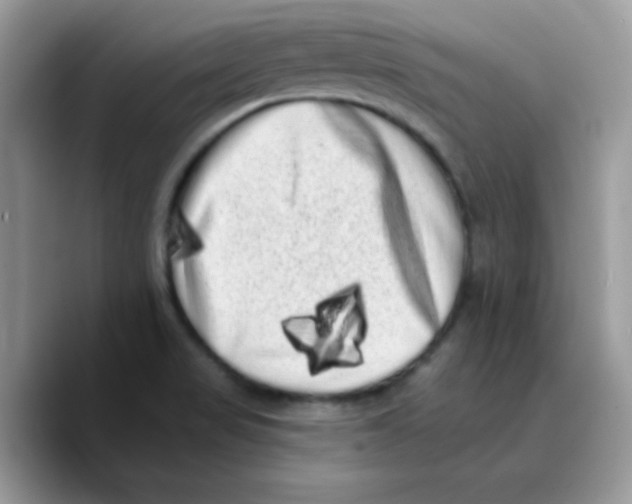 X0000089761517200707201932