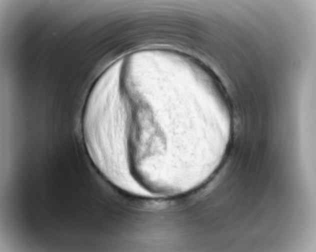 X0000089761521200707201932