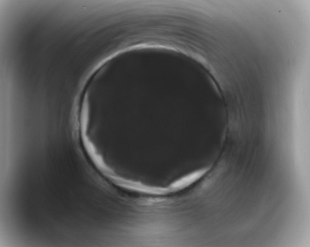 X0000089761522200707201932