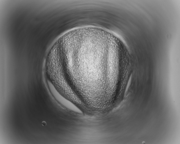 X0000089761524200707201932