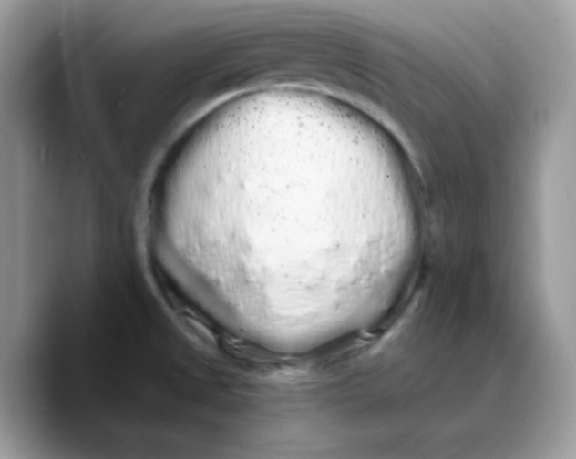 X0000089761525200707201932