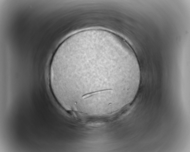 X0000089761526200707201932
