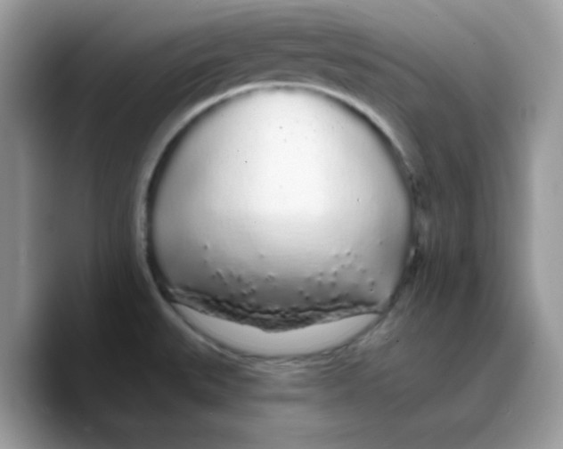X0000089761527200707201932