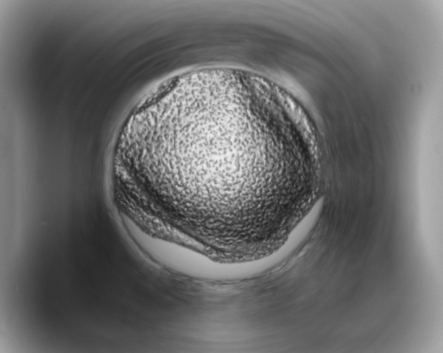 X0000089761528200707201932