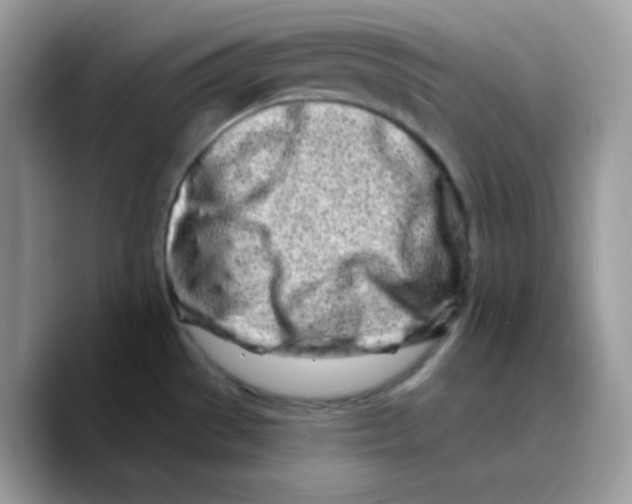 X0000089761529200707201932