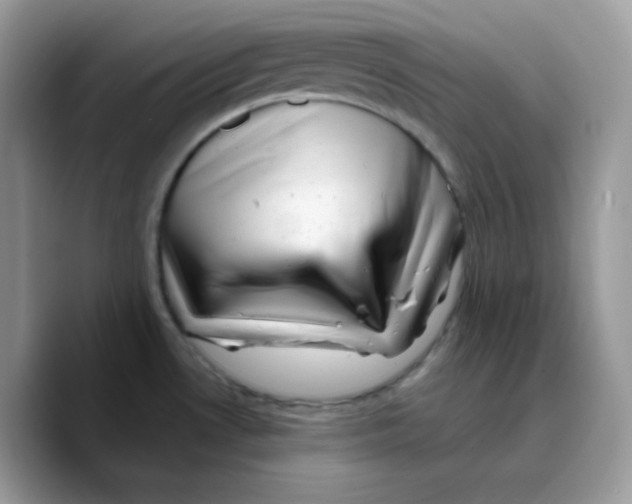 X0000089761530200707201932