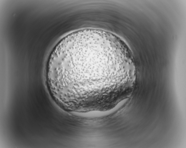 X0000089761531200707201932
