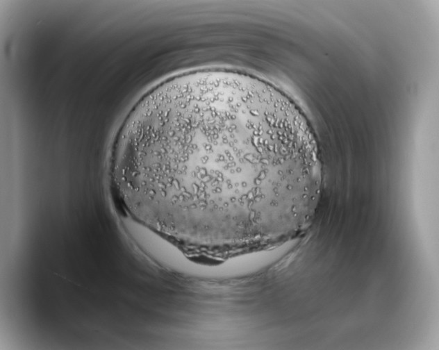 X0000089761532200707201932