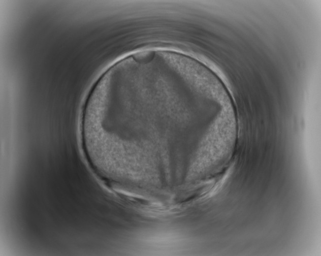 X0000089761533200707201932