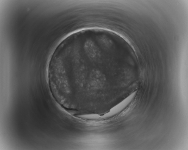 X0000089761535200707201932