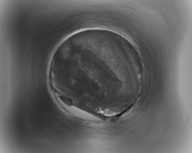 X0000089761536200707201932