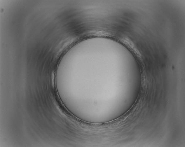 X0000089830014200706280950