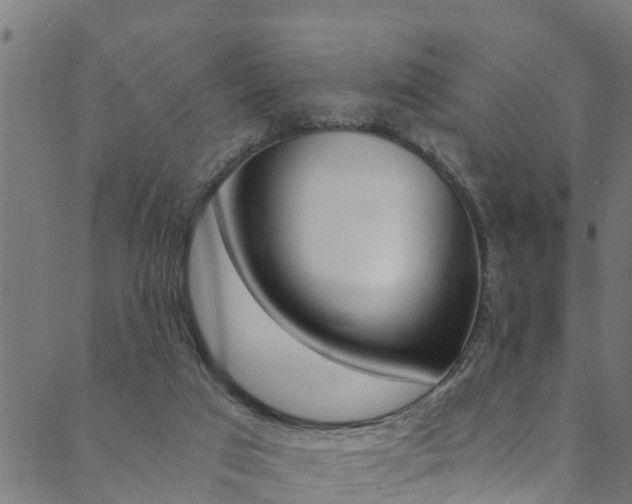 X0000089830017200706280950