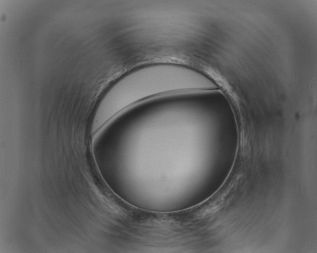 X0000089830201200706280947