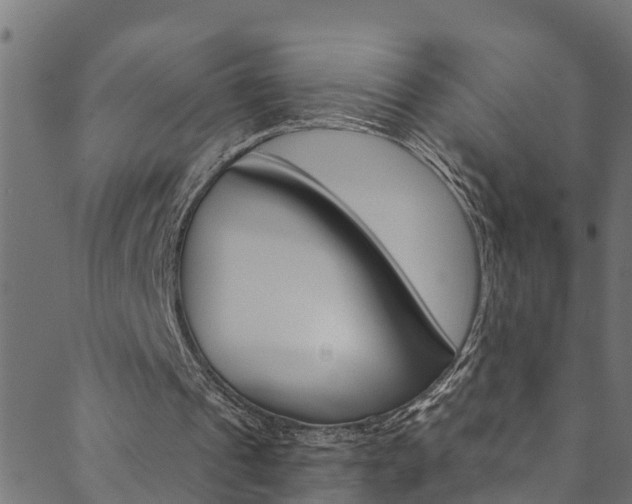 X0000089830241200706280945