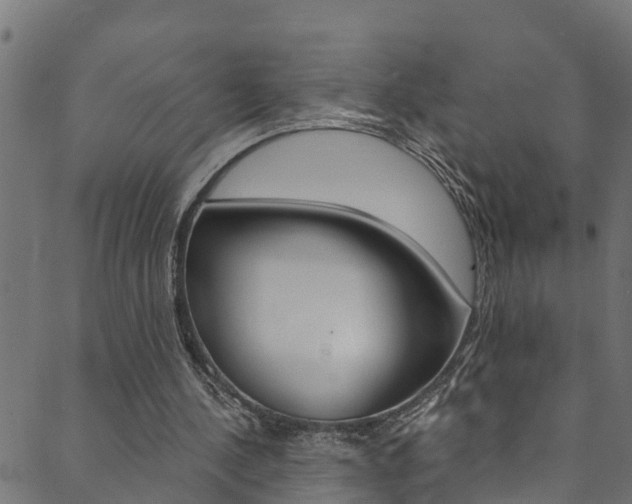 X0000089830244200706280945