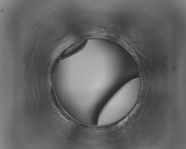 X0000089830245200706280945