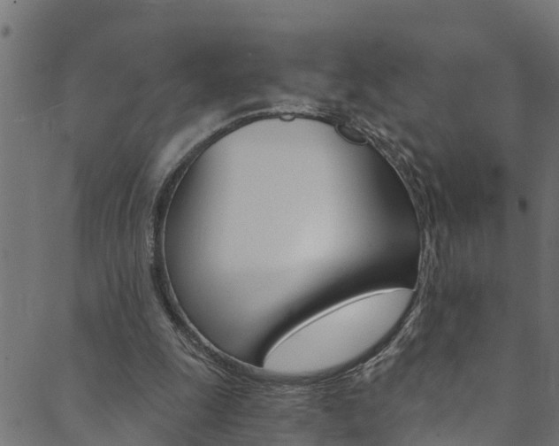 X0000089830247200706280945