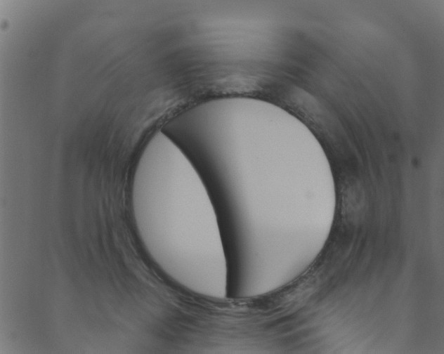 X0000089830362200706280944