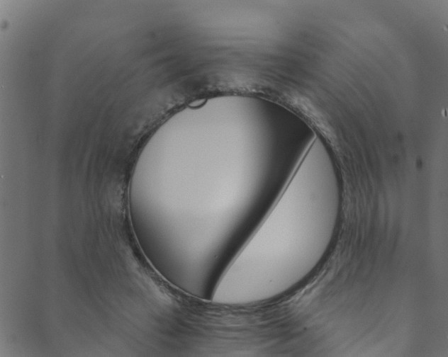 X0000089830449200706280943