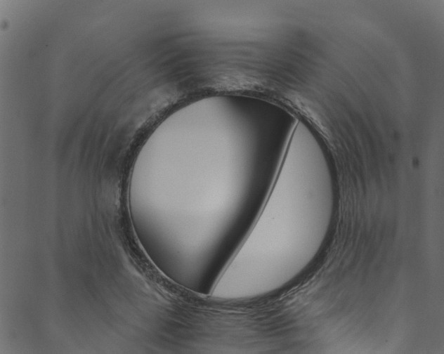 X0000089830539200706280941