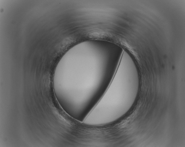 X0000089830637200706280939