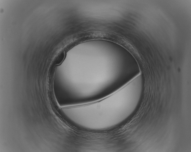 X0000089830722200706280938