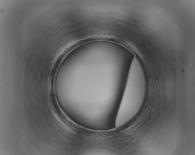 X0000089830726200706280938
