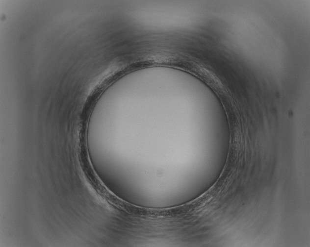 X0000089830730200706280938