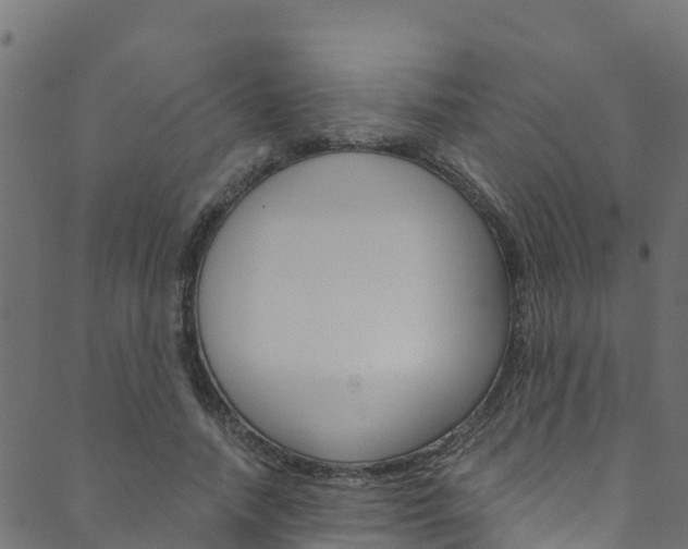 X0000089830738200706280938