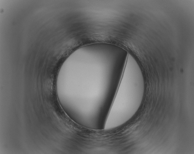 X0000089830739200706280938