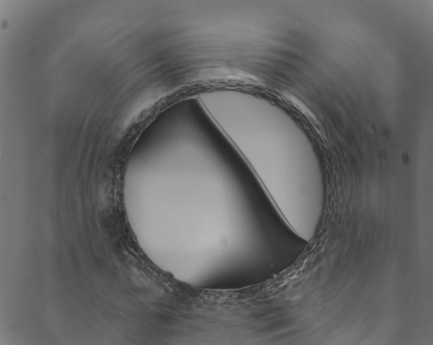X0000089830775200706280937