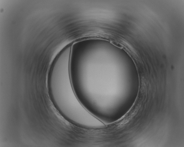 X0000089830788200706280937
