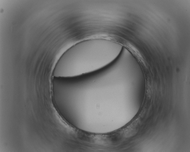 X0000089830808200706280937