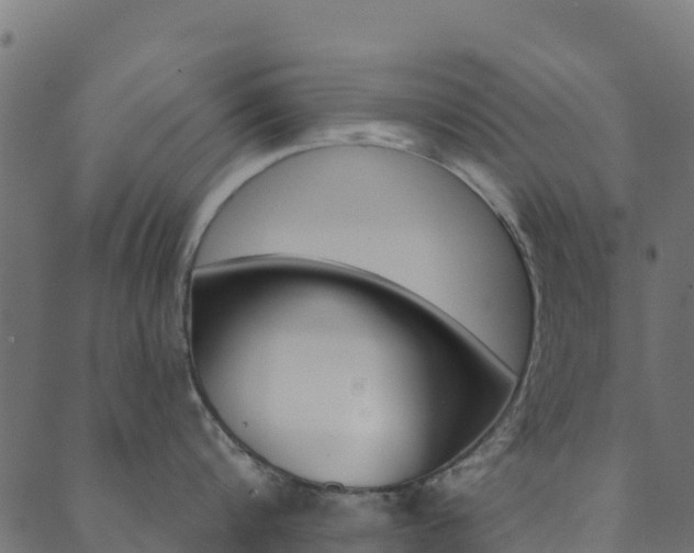 X0000089830816200706280937