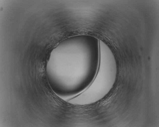 X0000089830818200706280936