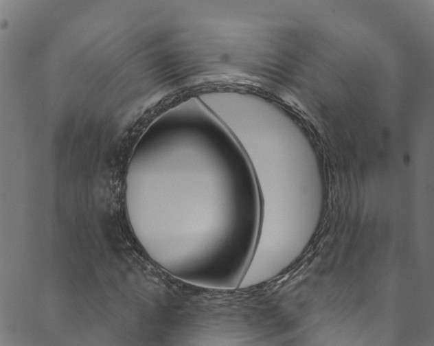 X0000089830822200706280936