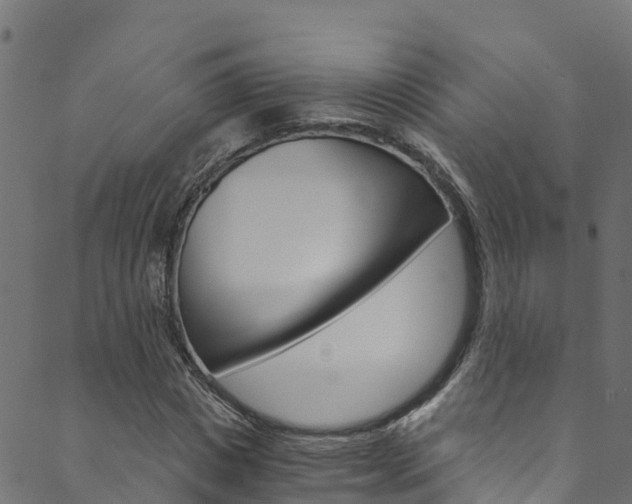 X0000089830825200706280936