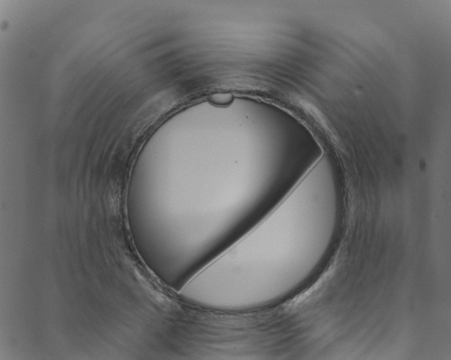 X0000089830833200706280936