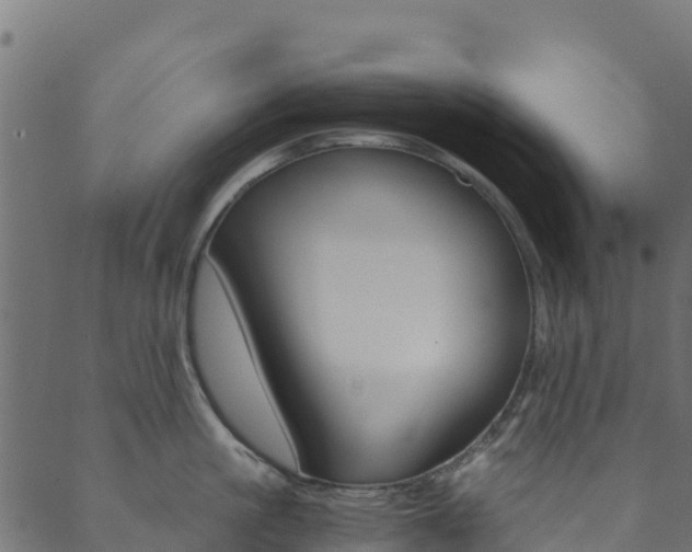 X0000089830861200706280937