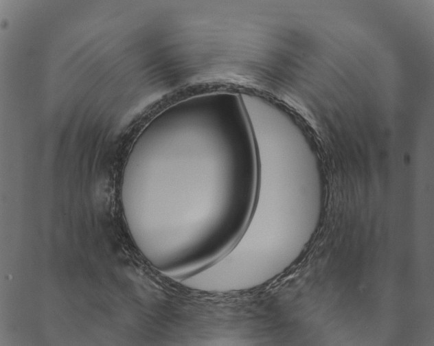 X0000089830872200706280936