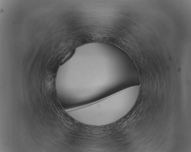 X0000089830914200706280935