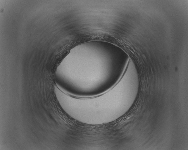 X0000089830916200706280935
