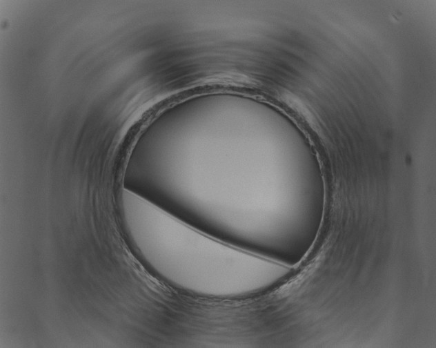 X0000089830923200706280935