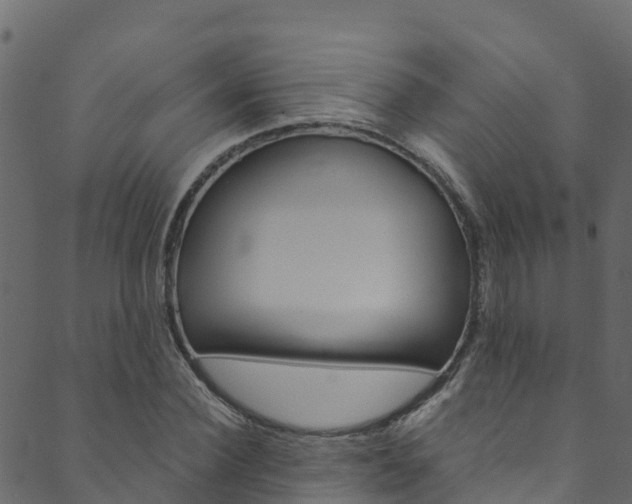 X0000089830924200706280935