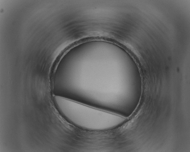 X0000089830927200706280935