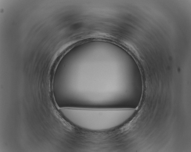 X0000089830931200706280935