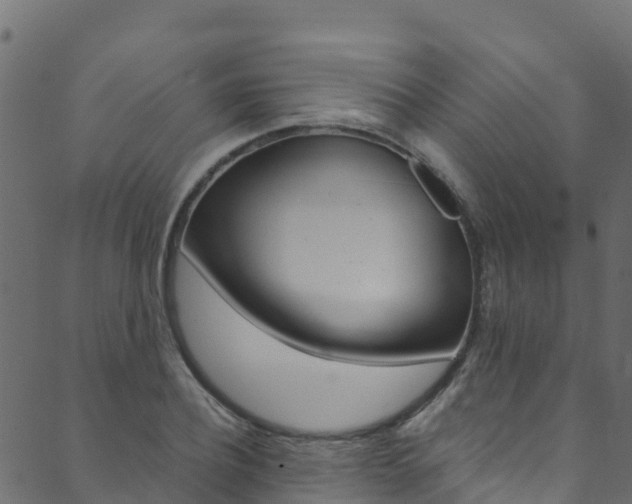 X0000089830932200706280935